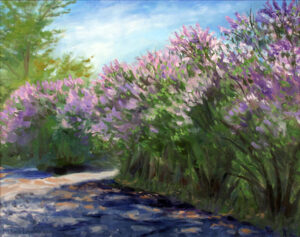 Michelle Lavallee Hedge of Lilacs South Natick