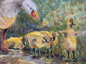 Liz Gorman Goslings Arrive