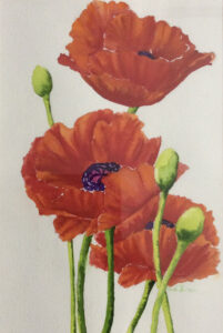 Linda Porreca Poppies III