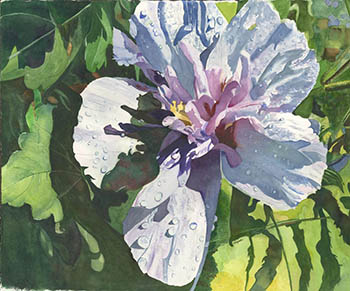 Elizabeth Fawcett, "After the Rain", 

Margaret Fitzwilliam Award for Excellence in Watercolor